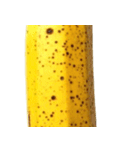バナナ！(banana)（個別スタンプ：9）
