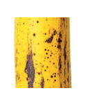 バナナ！(banana)（個別スタンプ：10）