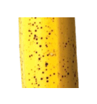 バナナ！(banana)（個別スタンプ：11）
