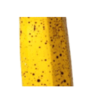 バナナ！(banana)（個別スタンプ：13）