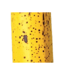 バナナ！(banana)（個別スタンプ：14）
