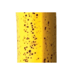 バナナ！(banana)（個別スタンプ：15）