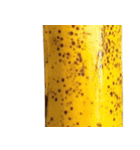バナナ！(banana)（個別スタンプ：16）