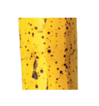 バナナ！(banana)（個別スタンプ：18）