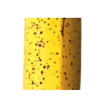 バナナ！(banana)（個別スタンプ：19）