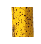バナナ！(banana)（個別スタンプ：21）