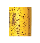 バナナ！(banana)（個別スタンプ：22）