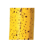 バナナ！(banana)（個別スタンプ：26）