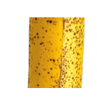 バナナ！(banana)（個別スタンプ：28）