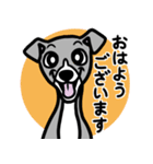 【ブルー2】1年中使える♡パピーイタグレ（個別スタンプ：1）
