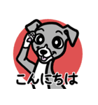【ブルー2】1年中使える♡パピーイタグレ（個別スタンプ：2）