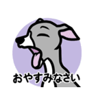 【ブルー2】1年中使える♡パピーイタグレ（個別スタンプ：4）