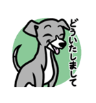 【ブルー2】1年中使える♡パピーイタグレ（個別スタンプ：6）