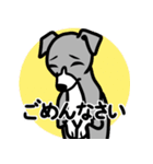 【ブルー2】1年中使える♡パピーイタグレ（個別スタンプ：7）