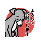 【ブルー2】1年中使える♡パピーイタグレ（個別スタンプ：9）