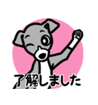 【ブルー2】1年中使える♡パピーイタグレ（個別スタンプ：10）