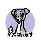 【ブルー2】1年中使える♡パピーイタグレ（個別スタンプ：11）