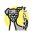 【ブルー2】1年中使える♡パピーイタグレ（個別スタンプ：14）