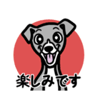 【ブルー2】1年中使える♡パピーイタグレ（個別スタンプ：16）