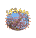 皆それぞれの仲間達（個別スタンプ：4）