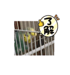 皆それぞれの仲間達（個別スタンプ：5）
