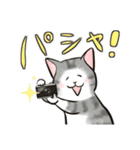 中高年ねこ 旅行編（個別スタンプ：4）