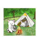 中高年ねこ 旅行編（個別スタンプ：8）