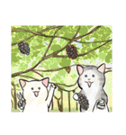 中高年ねこ 旅行編（個別スタンプ：13）