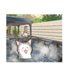 中高年ねこ 旅行編（個別スタンプ：16）