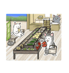 中高年ねこ 旅行編（個別スタンプ：21）