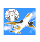 中高年ねこ 旅行編（個別スタンプ：24）