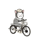 中高年ねこ 旅行編（個別スタンプ：25）