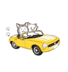 中高年ねこ 旅行編（個別スタンプ：26）