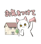 中高年ねこ 旅行編（個別スタンプ：29）