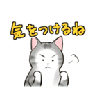 中高年ねこ 旅行編（個別スタンプ：30）