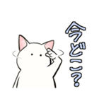中高年ねこ 旅行編（個別スタンプ：31）