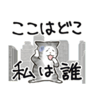 中高年ねこ 旅行編（個別スタンプ：32）
