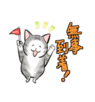 中高年ねこ 旅行編（個別スタンプ：33）