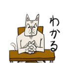 渋い顔した猫（個別スタンプ：29）