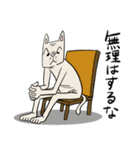 渋い顔した猫（個別スタンプ：37）