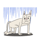 渋い顔した猫（個別スタンプ：38）