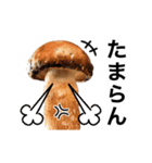 動く❤️きのこ❤️キノコ❤️（個別スタンプ：21）