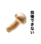 動く❤️きのこ❤️キノコ❤️（個別スタンプ：22）