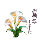 初夏 梅雨 気づかい 敬語✿大人上品お花（個別スタンプ：24）