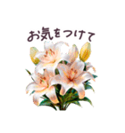 初夏 梅雨 気づかい 敬語✿大人上品お花（個別スタンプ：30）