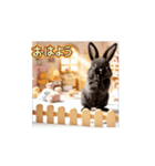 しろいうさぎとくろいうさぎPart2（個別スタンプ：4）