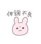 報告するうさぴこ（個別スタンプ：24）