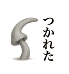 キノコのカタチ（個別スタンプ：6）