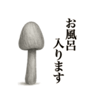 キノコのカタチ（個別スタンプ：8）