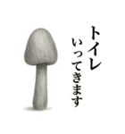 キノコのカタチ（個別スタンプ：9）